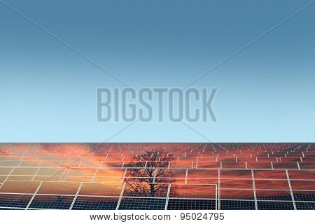 Solar Panel With Reflection