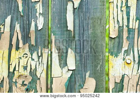 Grunge Wood Panels Texture
