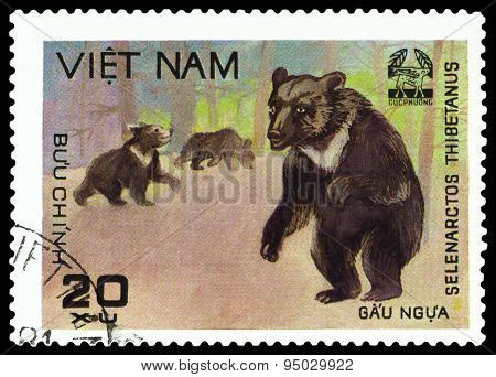 Vintage  Postage Stamp.   Himalayan Bear.