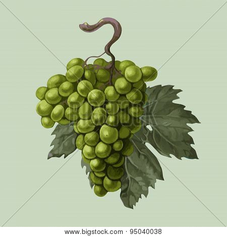 Cluster Of Grapes With A Leaf