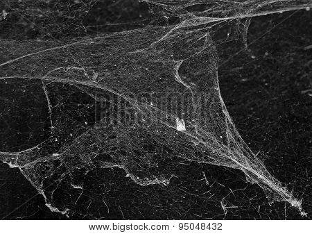 Cobweb Or Spider Web In Ancient Thai House Isolated On Black Background