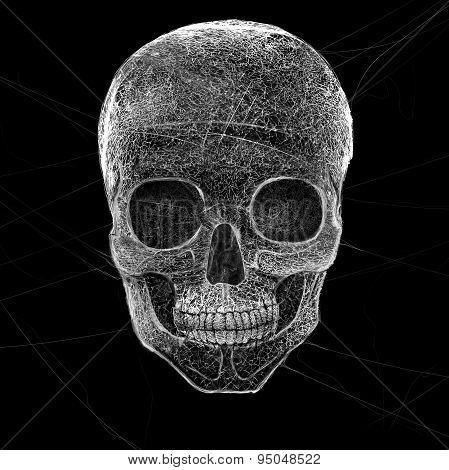 Horror Cobweb Skull