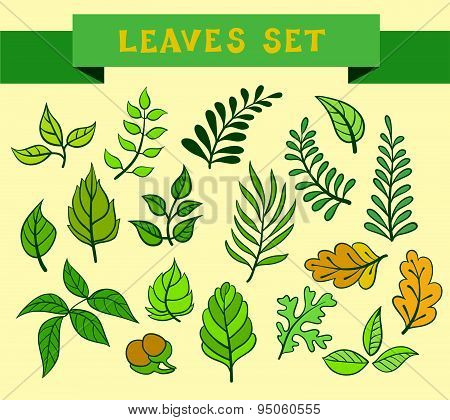 Set of leaves. Vector illustration.