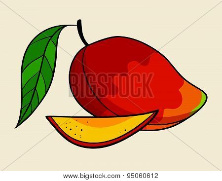 Mango vector Illustration.