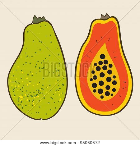 Papaya vector Illustration.