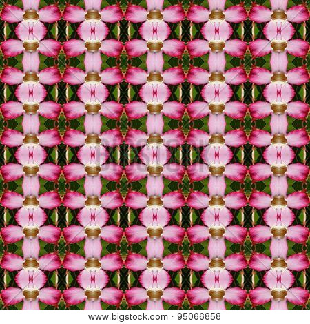 Adenium Flowers Seamless