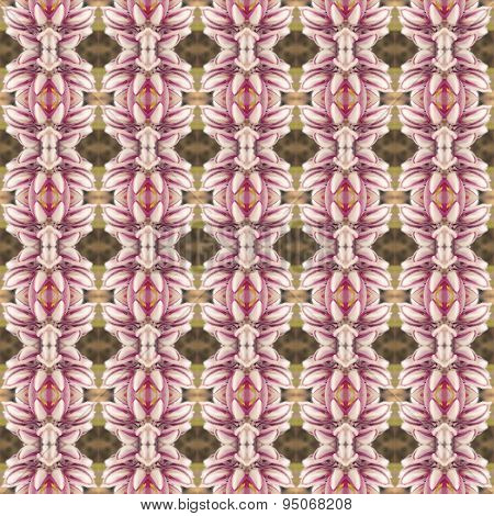 Leguminosae Flower Seamless