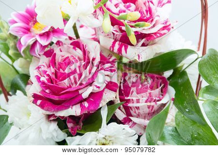 Flower Roses