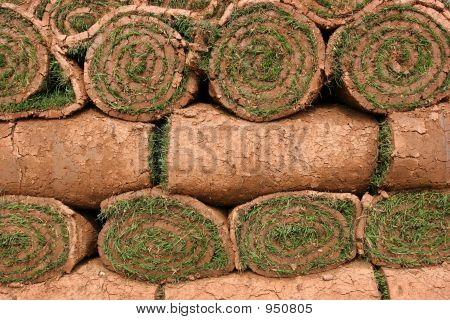 Rouleaux de gazon
