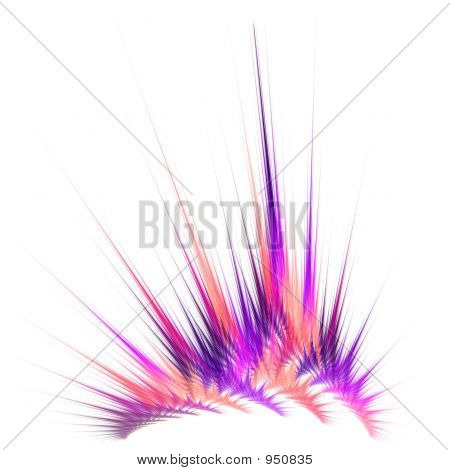 Bunte Ray