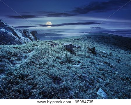 Path Through Hillside With White Boulders At Night