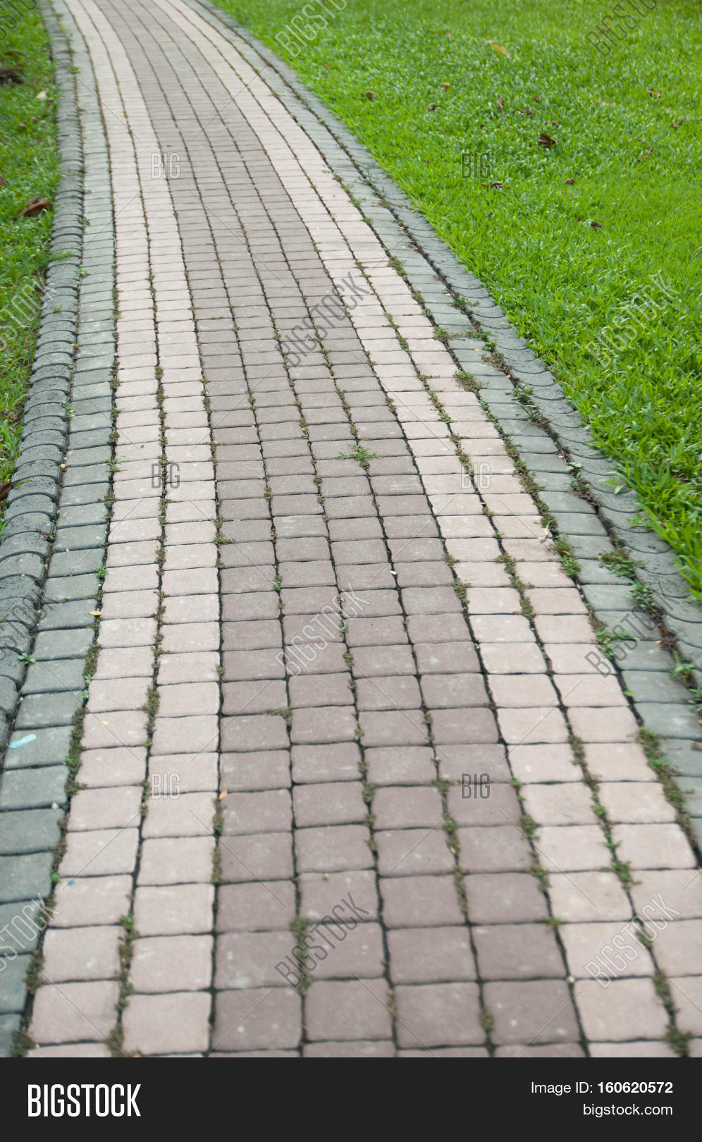 Concrete Paving Blocks Image & Photo (Free Trial) Bigstock