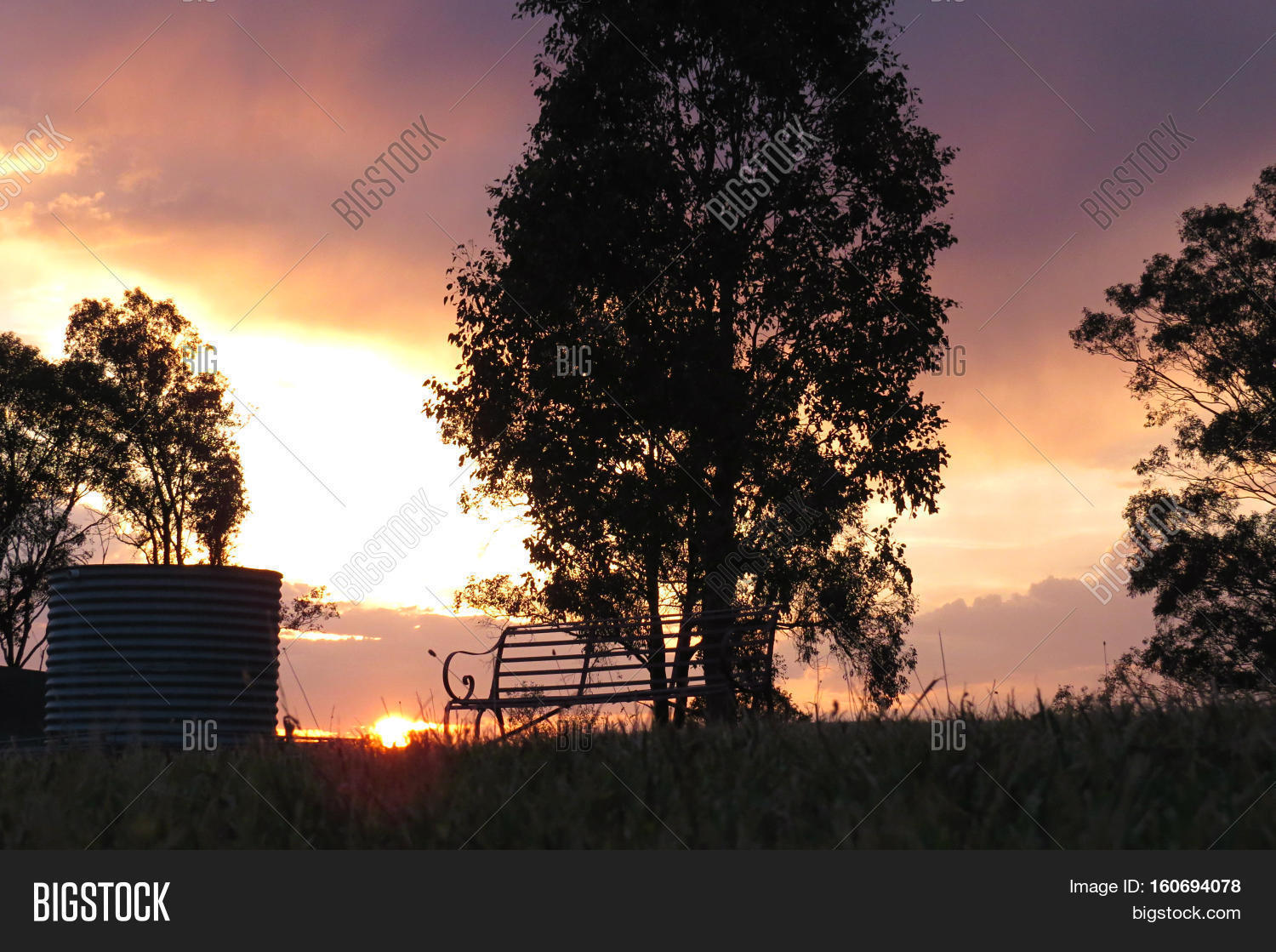 Australian Bush Image & Photo (Free Trial) Bigstock