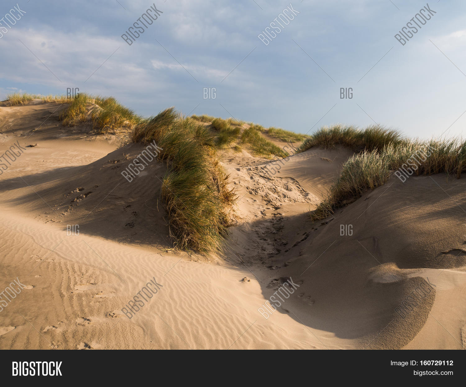 Sand Dunes Ynyslas Image & Photo (Free Trial) Bigstock