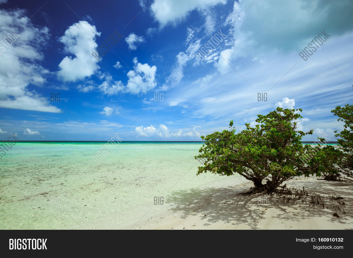 Cayo Coco Island Beach Image & Photo (Free Trial) Bigstock