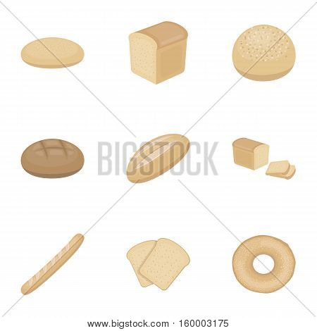 Bread set icons in cartoon style. Big collection of bread vector symbol stock