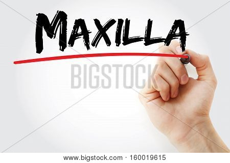 Hand Writing Maxilla With Marker