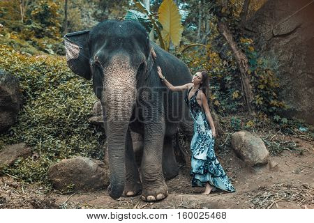 Fine art fashion image of an brunette beauty posing with an elephant