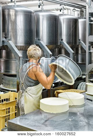 Cheese-maker putting young Gruyere de Comte Cheese into the forms at the dairy in Franche Comte Burgundy France.