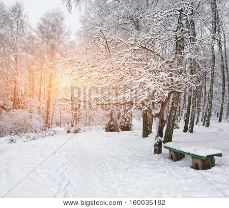 Park bench and trees covered by heavy snow. Lots of snow. Sunset