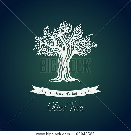 Leaf on branches of olive oil tree vector drawing. Greece olive tree for vegetarian or vegan food and drink, natural and organic fruit. For bottle label or sticker, olive oil packaging or tree grove