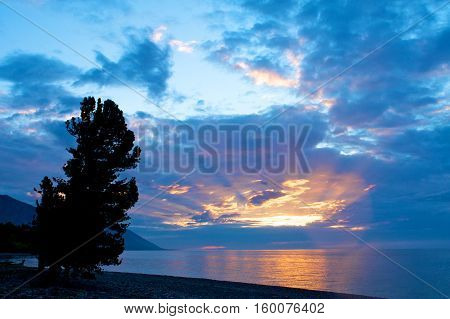 Colorful sunset over Lake Baikal and tree on the shore