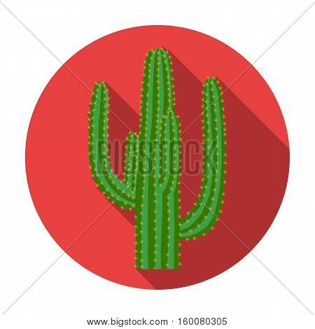 Mexican cactus icon in flat style isolated on white background. Mexico country symbol vector illustration.