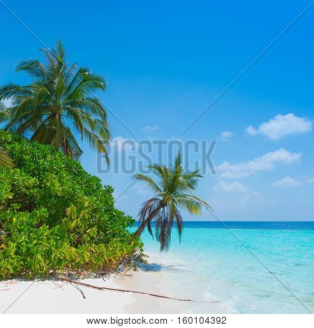 Panorama of a tropical island with turquoise lagoon white sand beach and palm trees. Bright blue sky with clouds low over the ocean.