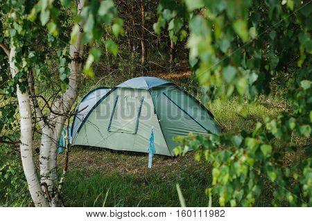 Tourist camp in the woods. Camping. rest area