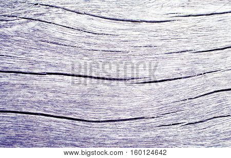 Wood texture closeup photo. White timber board with weathered crack lines. Natural background for shabby chic design. Grey wooden table image. Old tree trunk without bark. Sea wood vintage background