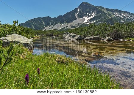 Panoramic view of Sivrya peak and Banski lakes, Pirin Mountain, Bulgaria