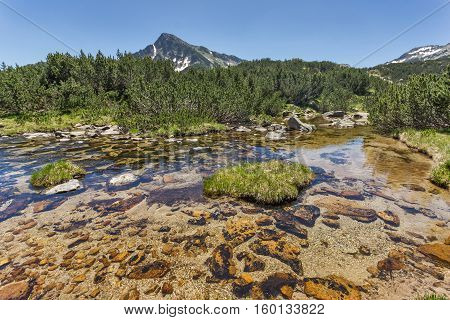 Clear water of Banski lakes and  Sivrya peak, Pirin Mountain, Bulgaria