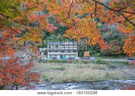 Beautiful Landscape In Autumn At Korankei, Japan