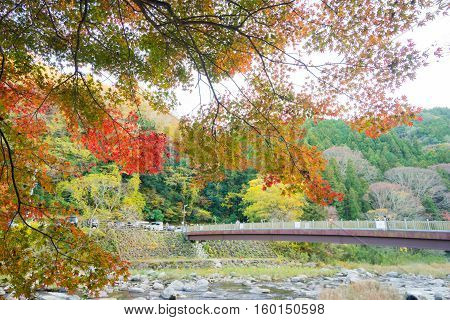 Colorful Autumn Leaf And River In Korankei, Japan