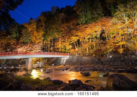 Korankei In Autumn With Lighting Show In Aichi,japan