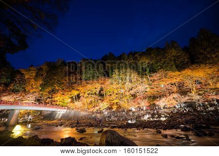 Korankei In Autumn With Lighting Show In Aichi,japan