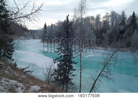Mountain river and frosted trees with fog