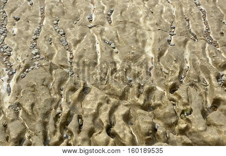 Eroded chalk (Calcium Carbonate) seabed with small rock pools and pebbles. Near Brighton East Sussex England
