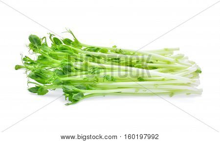 fresh snow pea sprouts isolated on white background