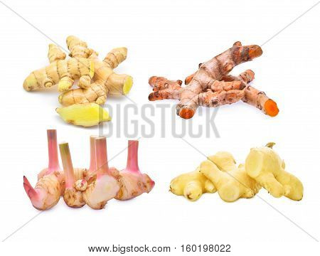 Thai herbfresh white turmericred turmericgalangalginger isolated on white backgroundund