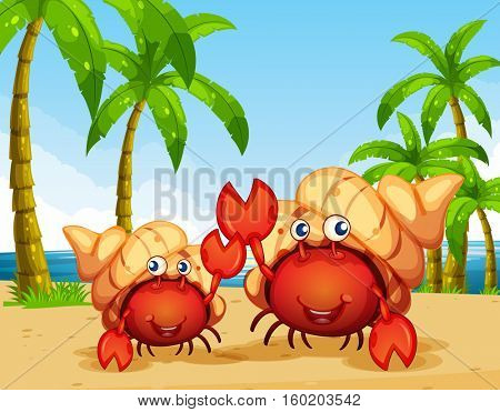 Two hermit crabs on the beach illustration