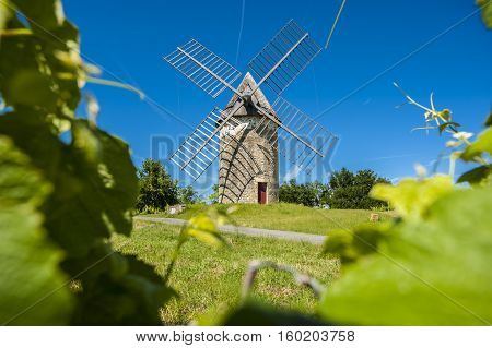 Vineyards and windmill near Loupiac Gironde Aquitaine France