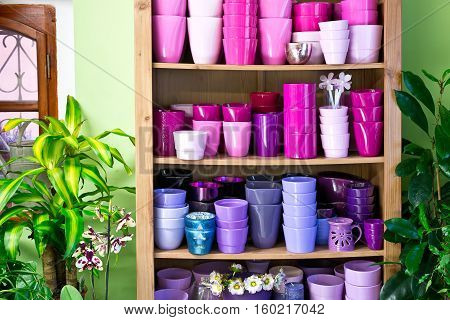 new violet flowerpots in a shelf in a market