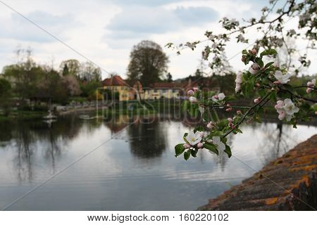 Urban landscape with a lake / Dinkelsbühl (Germany)