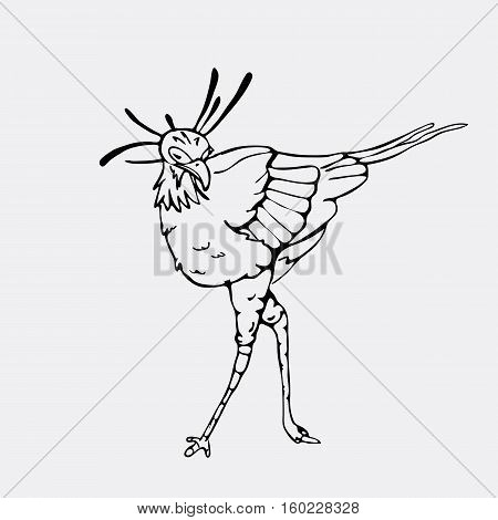 Hand-drawn pencil graphics, secretary bird, eagle, hawk, osprey. Engraving, stencil style. Black and white logo, sign, emblem, symbol. Stamp, seal. Simple illustration. Sketch.