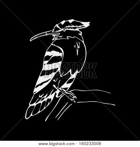 Hand-drawn pencil graphics, hoopoe, hornbill bird. Engraving, stencil style. Black and white logo, sign, emblem, symbol. Stamp, seal. Simple illustration. Sketch.