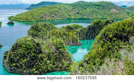 Rock Islands in Peanemo, Raja Ampat, West Papua. Indonesia