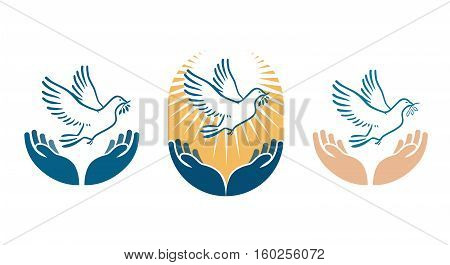 Dove bird carrying olive branch in beak as a peace symbol. Vector logo or icon isolated on white background