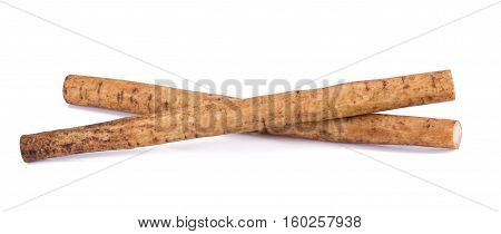 Fresh Burdock Roots On White Background.