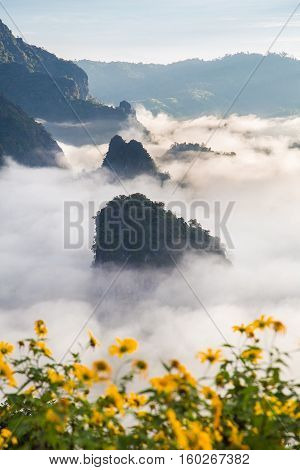 Morning fog on sunrise in the Phulanka, Phayao